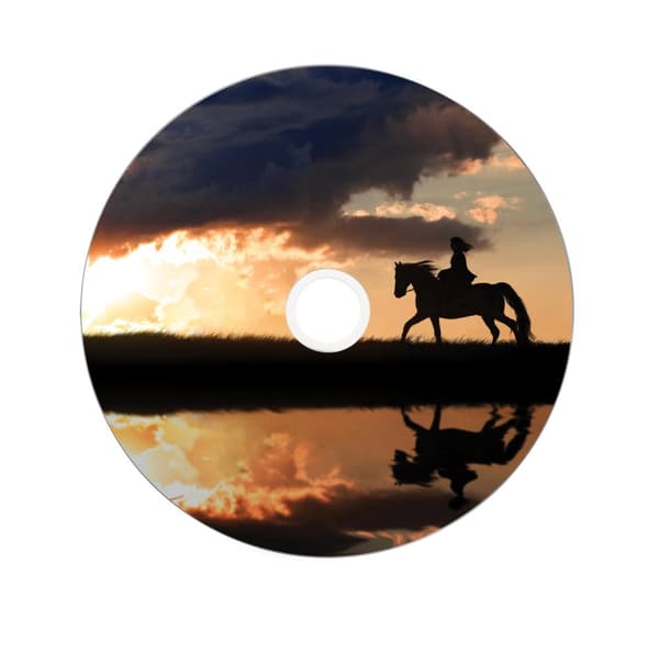 Verbatim 43667 tomma dvd:er 8,5 GB DVD+R DL 25 styck