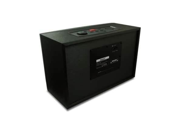 Bluetooth-kaiutin FERGUSON REGENT Power Audio 300BT RGB 2x 30W FM USB AUX DSP Musta