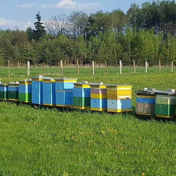 Monikukkahunaja, tuore 1kg sato 2020