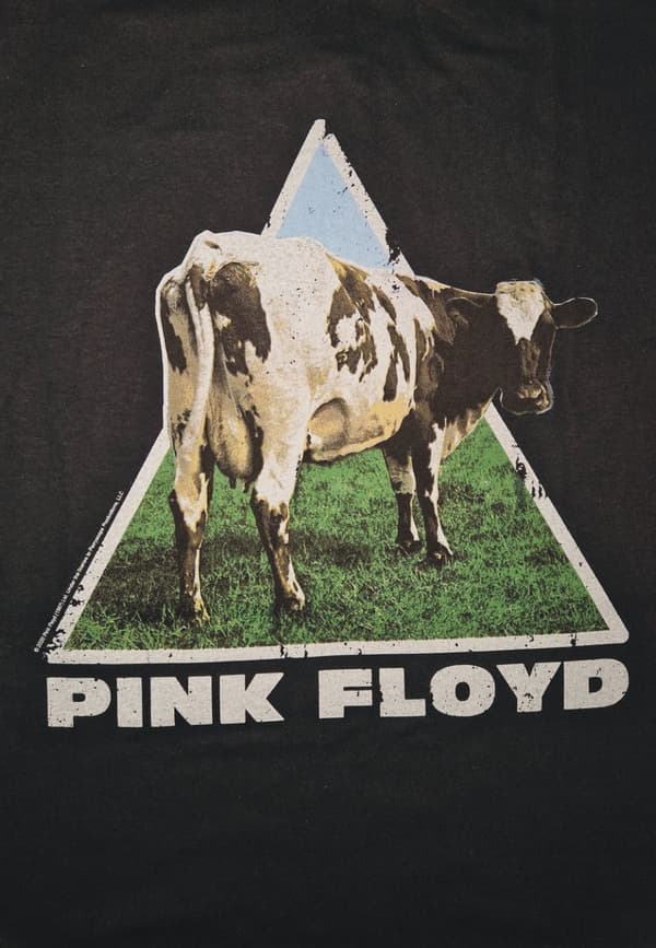 Pink Floyd - Atom Heart  Hoodie Hoodie