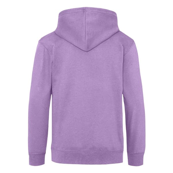 Awdis Kids Unisex Hooded Sweatshirt / Hoodie / Schoolwear