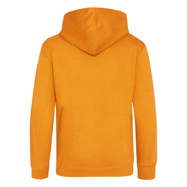Awdis Kids Unisex Hooded Sweatshirt / Hoodie / Schoolwear