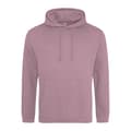 Pikkukuva 1 / 2: Awdis Unisex College Hooded Sweatshirt / Hoodie