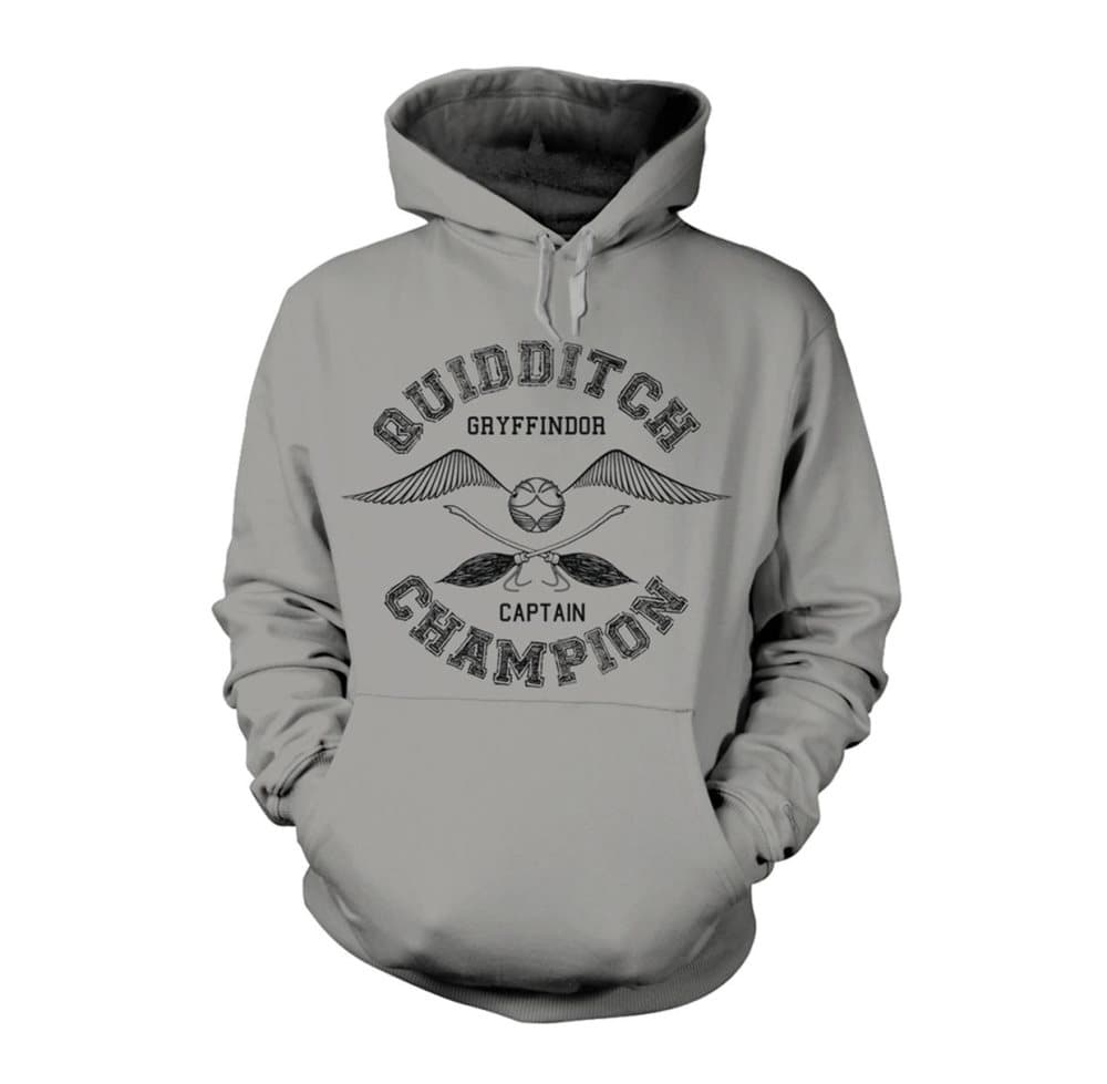Harry Potter Harry Potter Quidditch Champion Hoodie