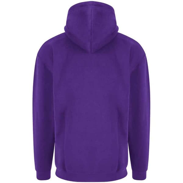 PRO RTX Mens Hoodie