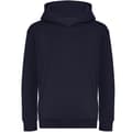 Miniatyrbilde 1 av 2: Awdis Childrens/Kids Organic Hoodie