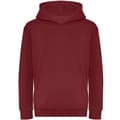 Miniatyrbilde 1 av 2: Awdis Childrens/Kids Organic Hoodie