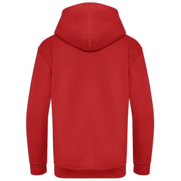 Awdis Childrens/Kids Organic Hoodie