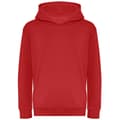 Miniatyrbilde 1 av 2: Awdis Childrens/Kids Organic Hoodie