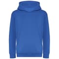 Miniatyrbilde 1 av 2: Awdis Childrens/Kids Organic Hoodie