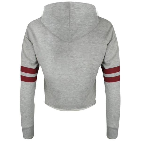 Harry Potter Womens/Ladies Hogwarts Alumni Crop Hoodie