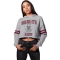 Pikkukuva 3 / 3: Harry Potter Womens/Ladies Hogwarts Alumni Crop Hoodie