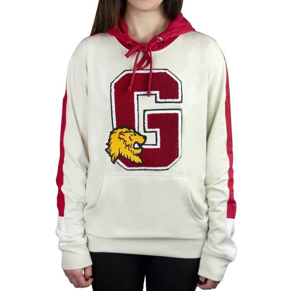 Harry Potter Unisex Gryffindor G Patch Hoodie