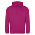 Miniatyrbilde 1 av 2: Awdis Unisex Adult College Hoodie