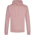 Miniatyrbilde 1 av 4: Awdis Unisex Adult College Hoodie