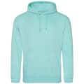 Miniatyrbilde 1 av 2: Awdis Unisex Adult College Hoodie