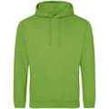 Miniatyrbilde 1 av 2: Awdis Unisex Adult College Hoodie