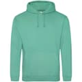 Miniatyrbilde 1 av 2: Awdis Unisex Adult College Hoodie