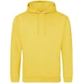 Miniatyrbilde 1 av 2: Awdis Unisex Adult College Hoodie