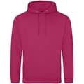 Miniatyrbilde 1 av 2: Awdis Unisex Adult College Hoodie