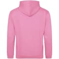 Miniatyrbilde 2 av 2: Awdis Unisex Adult College Hoodie