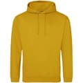 Miniatyrbilde 1 av 2: Awdis Unisex Adult College Hoodie