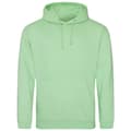 Miniatyrbilde 1 av 2: Awdis Unisex Adult College Hoodie