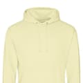 Miniatyrbilde 2 av 2: Awdis Unisex Adult College Hoodie