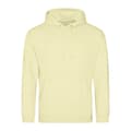 Miniatyrbilde 1 av 2: Awdis Unisex Adult College Hoodie