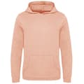 Miniatyrbillede 1 af 2: Awdis Lusaka Regen Ecologie Hoodie til mænd