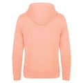 Miniatyrbillede 2 af 2: Awdis Lusaka Regen Ecologie Hoodie til mænd