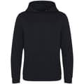 Miniatyrbillede 1 af 2: Awdis Lusaka Regen Ecologie Hoodie til mænd