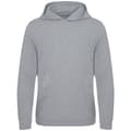 Miniatyrbillede 1 af 2: Awdis Lusaka Regen Ecologie Hoodie til mænd