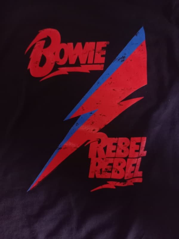 David Bowie David Bowie Rebel, Rebel Hoodie