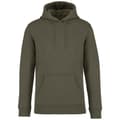 Miniatyrbild 2 av 4: Native Spirit Unisex Heavyweight Hoodie för vuxna