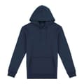 Miniatyrbild 1 av 4: Native Spirit Unisex Heavyweight Hoodie för vuxna