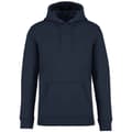 Miniatyrbild 2 av 4: Native Spirit Unisex Heavyweight Hoodie för vuxna