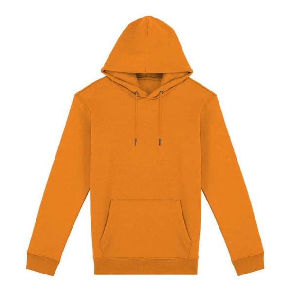 Native Spirit Unisex Heavyweight Hoodie för vuxna