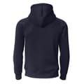 Miniatyrbild 2 av 2: Native Spirit Unisex Heavyweight Hoodie för vuxna