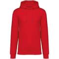 Miniatyrbild 1 av 3: Native Spirit Unisex Heavyweight Hoodie för vuxna