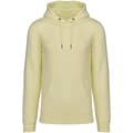 Miniatyrbild 1 av 3: Native Spirit Unisex Heavyweight Hoodie för vuxna