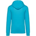 Miniatyrbild 2 av 3: Native Spirit Unisex Heavyweight Hoodie för vuxna