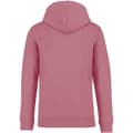 Miniatyrbild 2 av 3: Native Spirit Unisex Heavyweight Hoodie för vuxna