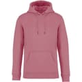 Miniatyrbild 1 av 3: Native Spirit Unisex Heavyweight Hoodie för vuxna
