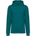 Miniatyrbild 1 av 3: Native Spirit Unisex Heavyweight Hoodie för vuxna