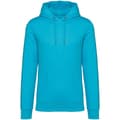 Miniatyrbild 1 av 3: Native Spirit Unisex Heavyweight Hoodie för vuxna