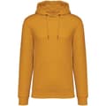 Miniatyrbild 1 av 3: Native Spirit Unisex Heavyweight Hoodie för vuxna