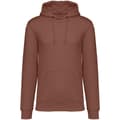 Miniatyrbild 1 av 3: Native Spirit Unisex Heavyweight Hoodie för vuxna