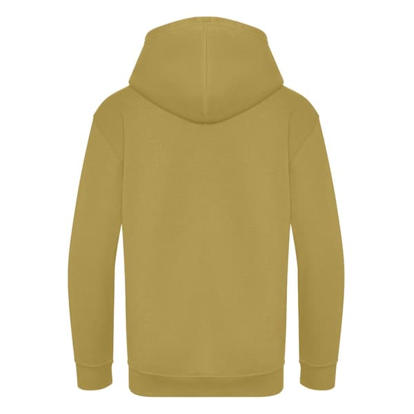 Awdis Childrens/Kids Hoodie