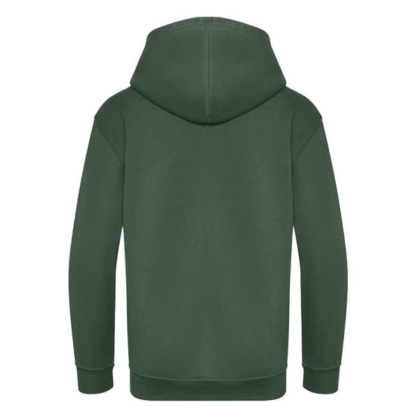 Awdis Childrens/Kids Hoodie